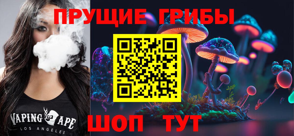 Псилоцибиновые грибы мицелий Вологда