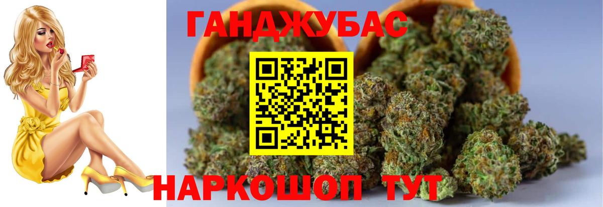 Вологда  Каннабис планчик  Бошки марихуана Ganja  Вход с VPN  Конопля ГИДРОПОН  Каннабис Bruce Banner 